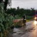 Ondata di maltempo al Nord, in Friuli temporali e vento fino a 130 km orari