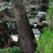 Polonia: “Un centinaio di mercenari Wagner verso nostro confine”