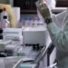 Ricerca: verso cura italiana contro morbo mucca pazza e altre malattie da prioni