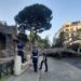 Roma, crolla pino in piazza d’Aracoeli