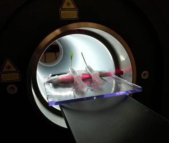 Sostenibilità, AgriPetMri porta tecnologie mediche avanzate in agricoltura
