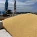 Ucraina: “Accordo con Croazia per export grano”