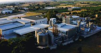 Vino: con nuove etichette Naturalia Ingredients risorsa made in Italy per viticoltori