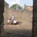 A Pompei scoperti i resti di un sacrificio in onore del dio Sabazio