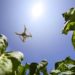 Al via terza edizione Beleaf Be The future, la call for innovation di Pmi