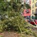 Allarme eco-ansia, lo psichiatra: “Avremo ancora meno nascite, agire ora”