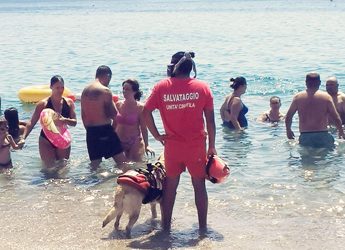 Calabria, cane vigili fuoco salva bimbi su canoa