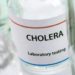 Colera, Oms: “Casi in 25 Paesi, rischio globale molto alto”