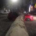 Nubifragio oggi a Milano, alberi caduti e tetti pericolanti