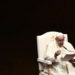 Papa Francesco: “Sogno un’Europa che includa i popoli”