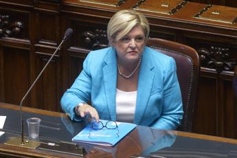 Reddito cittadinanza, Calderone: “Bomba sociale? Non ho segnalazioni”