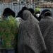 Stop Germania a migranti da Italia: i dati degli ultimi mesi