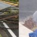 Stop al caldo, oggi solo 8 città bollino rosso. Maltempo al Nord
