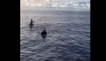 Surfisti dispersi dopo tempesta, trovati vivi dopo 38 ore sulla tavola – Video