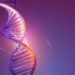 Tumori, ecco come le radiazioni danneggiano Dna, studio università Trento