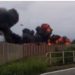 Aereo Frecce Tricolori precipitato, cosa è successo: ipotesi bird strike