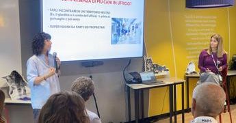 Animali, Babiceanu (Royal Canin): “Uffici pet friendly sono nel nostro Dna”