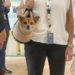 Animali, Caporali (AniCura): “Nostre cliniche curano 1000 animali al giorno”
