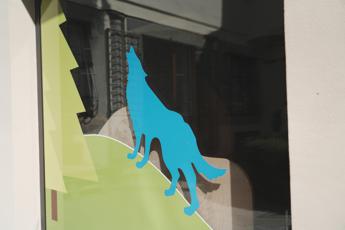 Biodiversità in volo, Fondazione Una e Federparchi per il censimento dei lupi