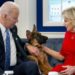 Casa Bianca, il cane di Joe Biden ‘cacciato’: troppi morsi