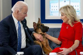 Casa Bianca, il cane di Joe Biden ha morso (ancora) un agente