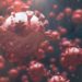 Covid, studio svela quanto sopravvive il virus sugli oggetti