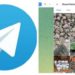 Da Telegram a Instagram, è boom di piazze di spaccio digitali