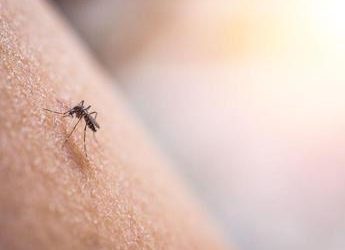 Dengue Italia 2023, crescono casi: 236 in totale
