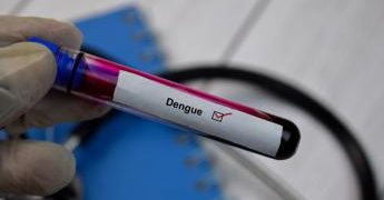 Dengue Italia, salgono casi a Roma e nel Lazio: allerta dei medici