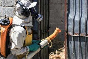 Dengue, nuovo caso a Pisa: sindaco ordina la disinfestazione