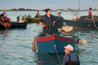Granchio blu, perso il 50% della produzione di cozze e vongole