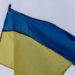 Irina Osipova assunta in Senato, ambasciata Ucraina: “Preoccupati, i russi sono un rischio nelle istituzioni”