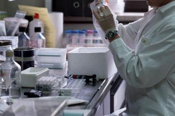 Leucemia mieloide cronica e sospensione cure, studio fa chiarezza