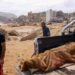 Libia devastata dalle alluvioni, si temono 10mila morti