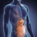 Malattia di Crohn, ok Aifa a rimborso primo inibitore specifico IL-23