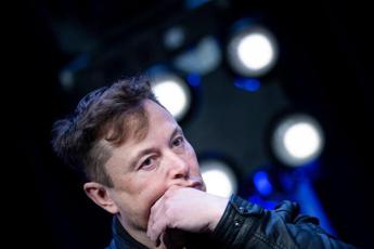 Musk cerca volontari per chip nel cervello. E Calenda ‘candida’ Salvini