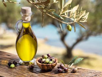 Olio, Sicolo (Italia Olivicola): “Prezzo di quello italiano sarà 10-11 euro allo scaffale per consumatori, +30%”