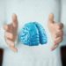 Ricerca, scoperte cellule cerebrali chiave per memoria, apprendimento e movimento