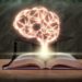 Romanzieri Usa citano in giudizio OpenAI: l’intelligenza artificiale viola il copyright