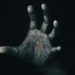 Talk to me, al cinema da oggi 28 settembre il film horror più spaventoso dell’anno