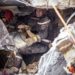 Terremoto Marocco, Tajani: “500 italiani nel Paese, nessuna vittima”