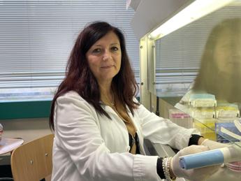 Tumori, glioblastoma: dall’aloe un aiuto contro la resistenza alla chemioterapia