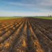 Acqua, Guerrini (Arera): “Nuovo metodo tariffario permetterà copertura costi riuso agricoltori”