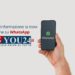 Arriva il canale WhatsApp di Tgyou24, ecco come iscriversi