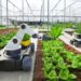 Boom robotica, installati nel mondo 531mila automi