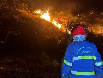 Incendi in Sicilia, decine di interventi nella notte