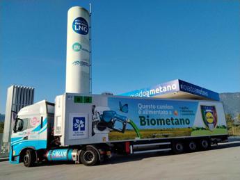 Sostenibilità, Lidl, Lc3 e Greenture insieme per una supply chain a zero emissioni