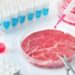 Carne sintetica in Parlamento? In attesa della legge, c’è chi dice (già) no