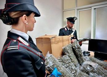 Casalinga riceve ‘per errore’ pacco con 10 chili di marijuana e chiama i carabinieri