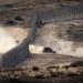 Israele: “Hamas ha perso controllo Gaza”. Soldati nel Parlamento